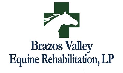 bvueh|Brazos Valley Equine Hospitals .